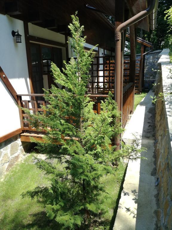 Апартаменти Casa Gozna Веліуг Екстер'єр фото